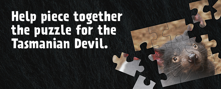 Devil puzzle banner donation page