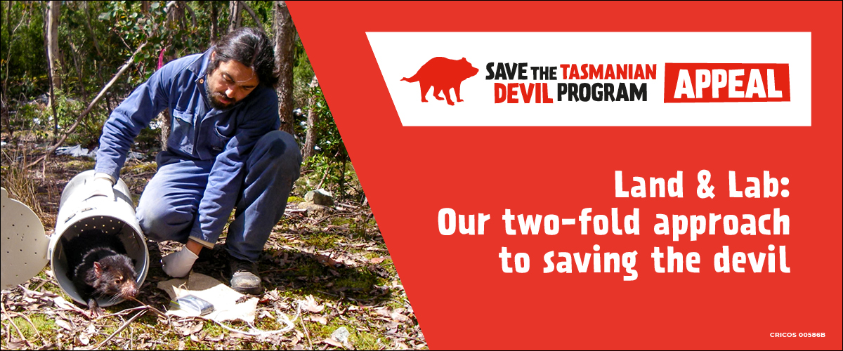 Save the Tasmanian Devil Appeal
